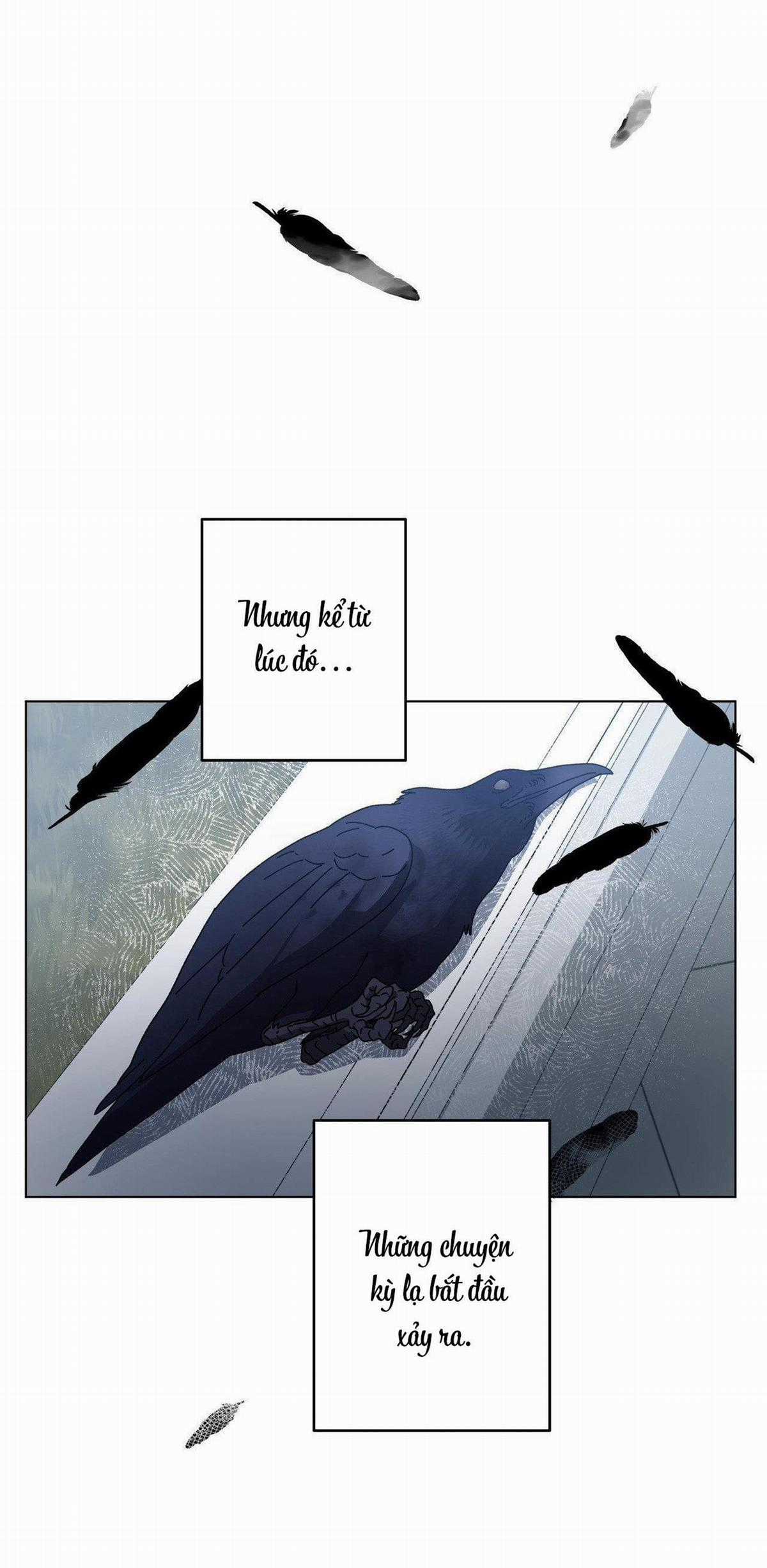 (Cbunu) In The Deep - Chapter 7 - Trang 38