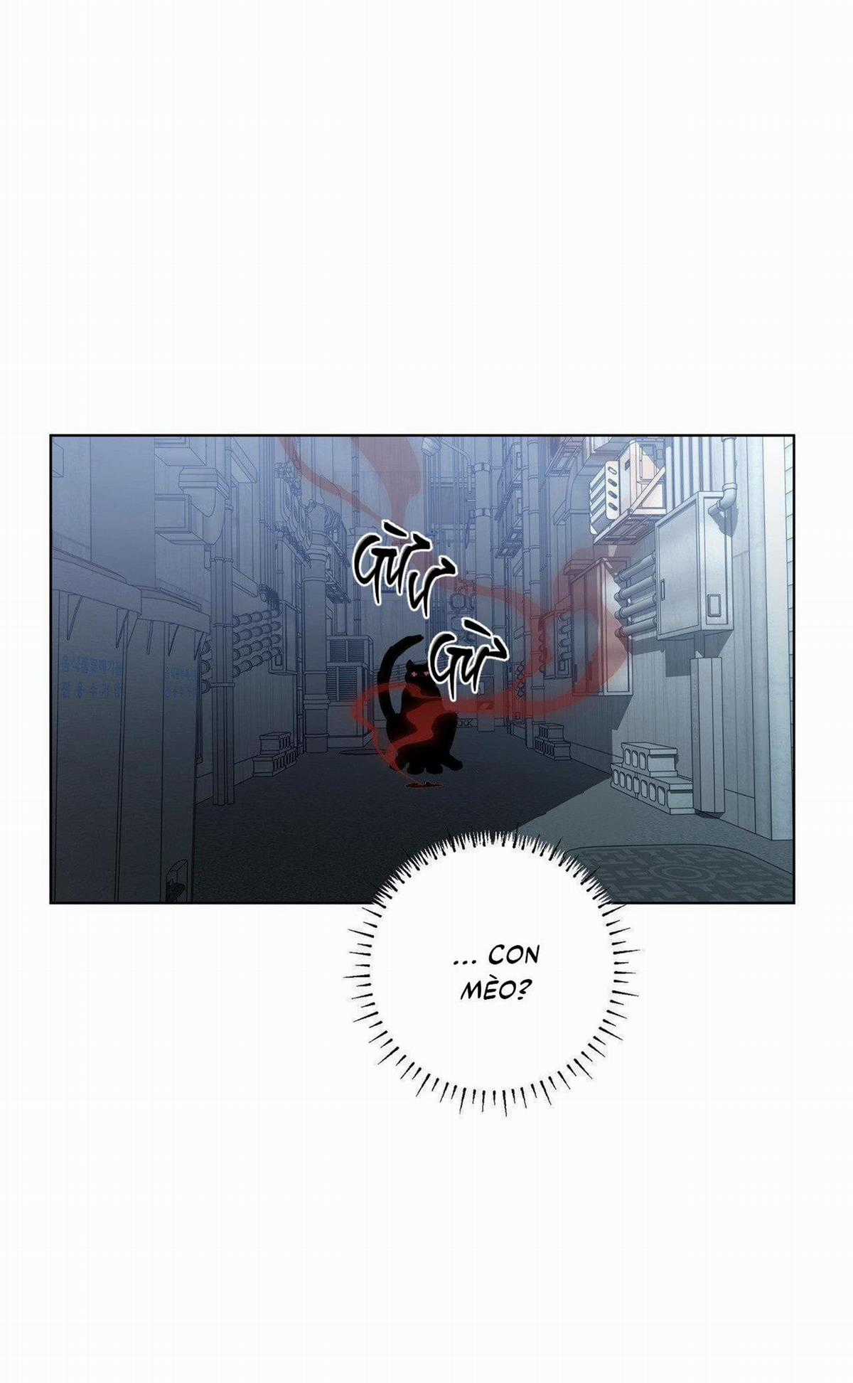 (Cbunu) In The Deep - Chapter 8 - Trang 17