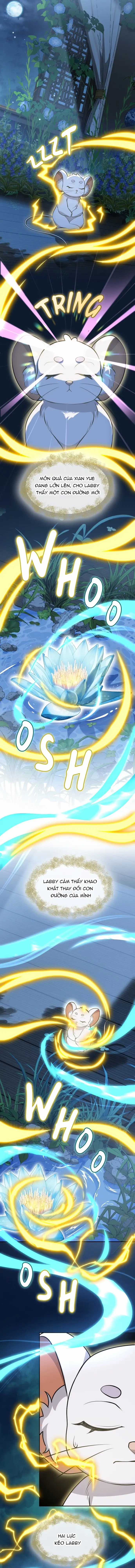 Chân Lý Tu Tiên - Chapter 24 - Trang 6