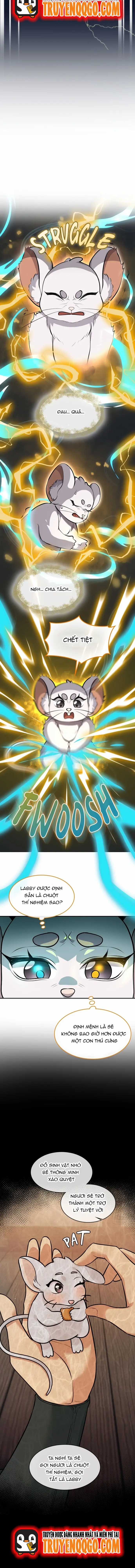 Chân Lý Tu Tiên - Chapter 24 - Trang 8