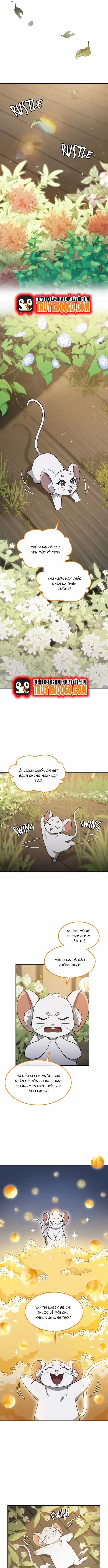 Chân Lý Tu Tiên - Chương 15 - Trang 7