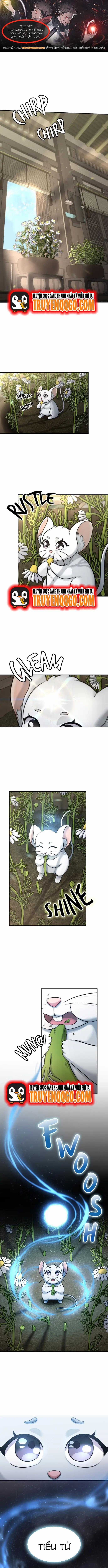 Chân Lý Tu Tiên - Chương 7 - Trang 1