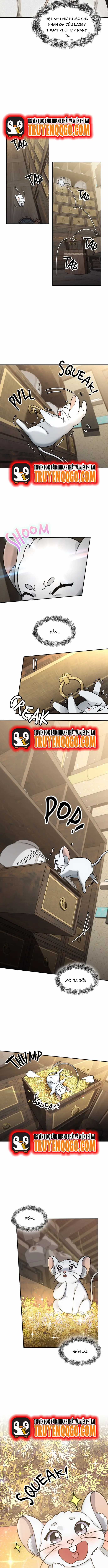 Chân Lý Tu Tiên - Chương 7 - Trang 5