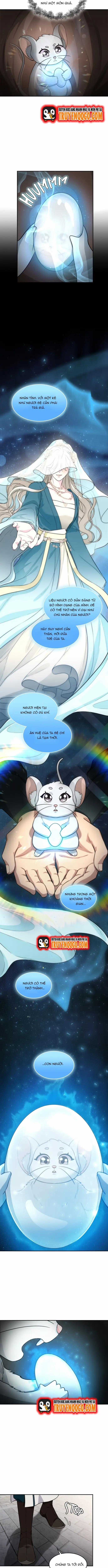 Chân Lý Tu Tiên - Chương 9 - Trang 2