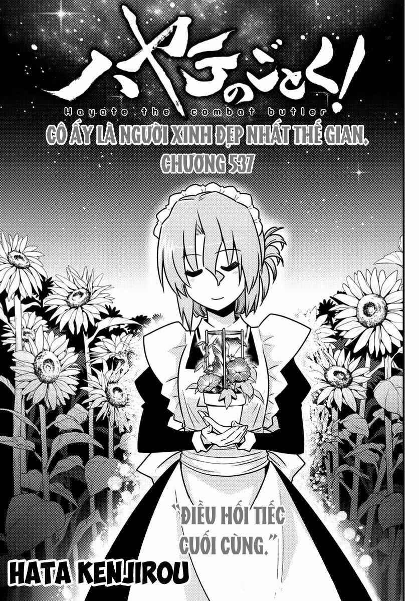 Chàng Quản Gia - Chapter 537 - Trang 3