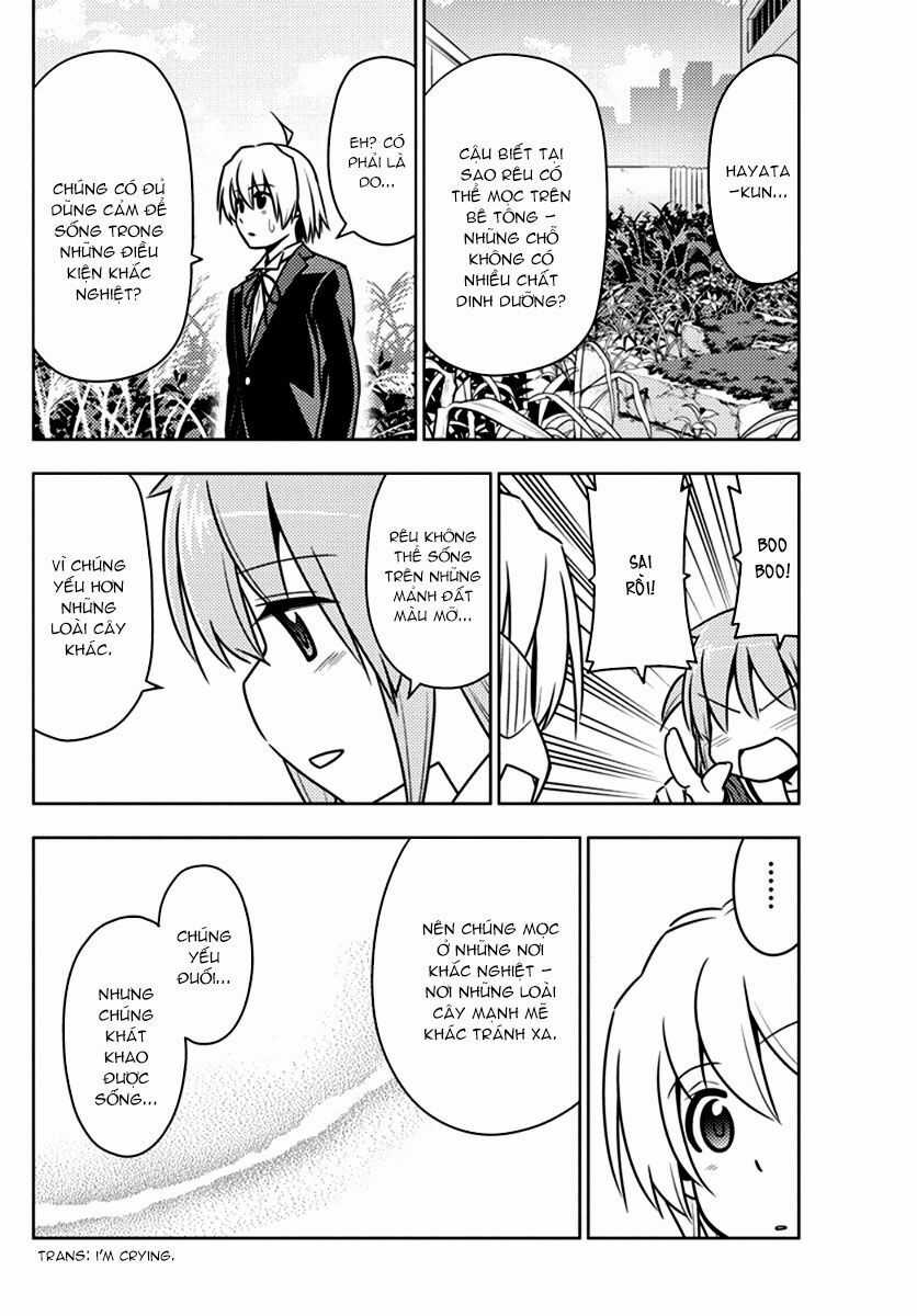 Chàng Quản Gia - Chapter 541 - Trang 10