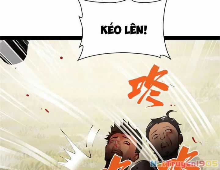 Chàng Rể Mạnh Nhất Lịch Sử - Chapter 303 - Trang 10