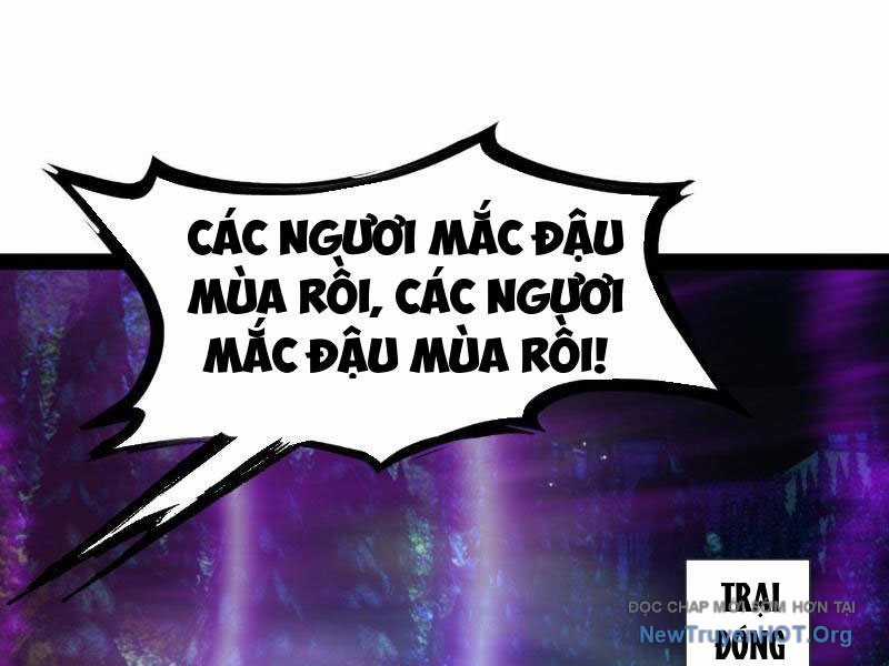 Chàng Rể Mạnh Nhất Lịch Sử - Chapter 307 - Trang 107