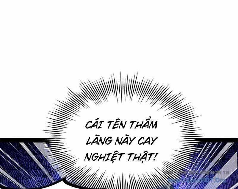 Chàng Rể Mạnh Nhất Lịch Sử - Chapter 308 - Trang 35