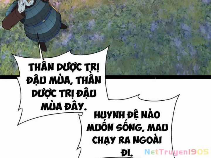 Chàng Rể Mạnh Nhất Lịch Sử - Chapter 309 - Trang 11