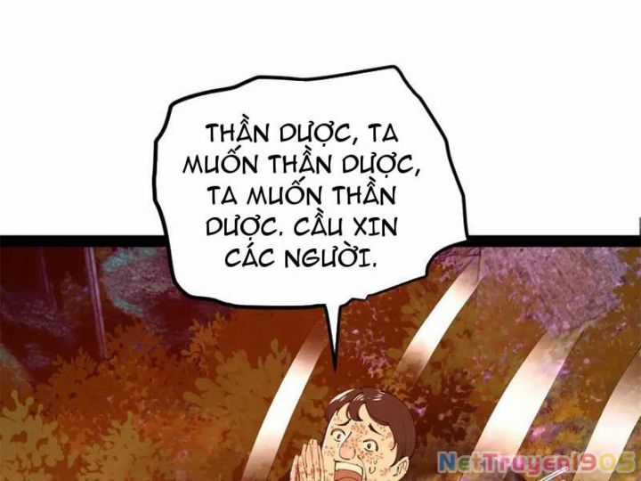 Chàng Rể Mạnh Nhất Lịch Sử - Chapter 309 - Trang 17