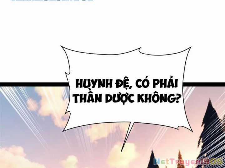 Chàng Rể Mạnh Nhất Lịch Sử - Chapter 309 - Trang 24
