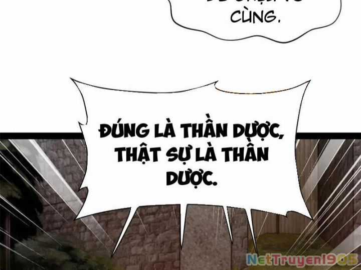 Chàng Rể Mạnh Nhất Lịch Sử - Chapter 309 - Trang 28