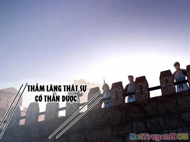 Chàng Rể Mạnh Nhất Lịch Sử - Chapter 309 - Trang 33