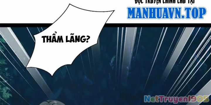 Chàng Rể Mạnh Nhất Lịch Sử - Chapter 309 - Trang 84