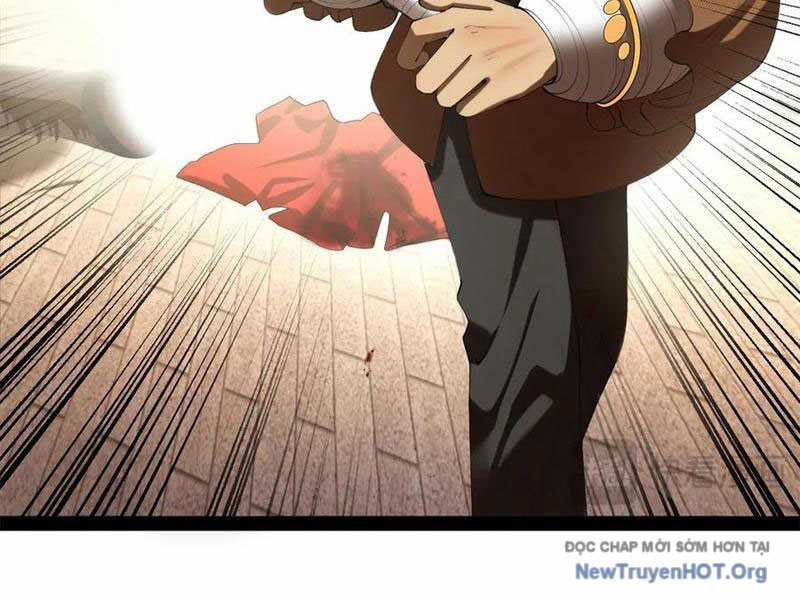 Chàng Rể Mạnh Nhất Lịch Sử - Chapter 314 - Trang 13