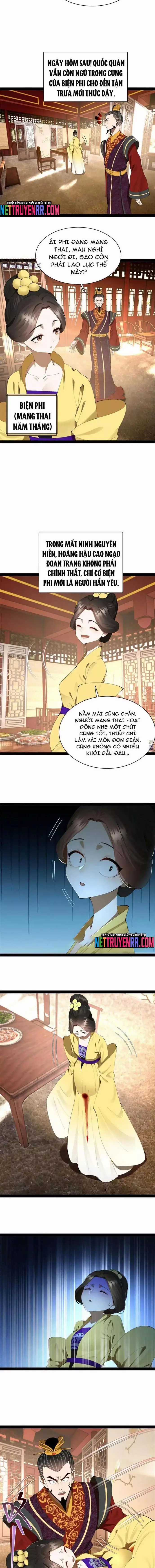 Chàng Rể Mạnh Nhất Lịch Sử - Chapter 317 - Trang 7