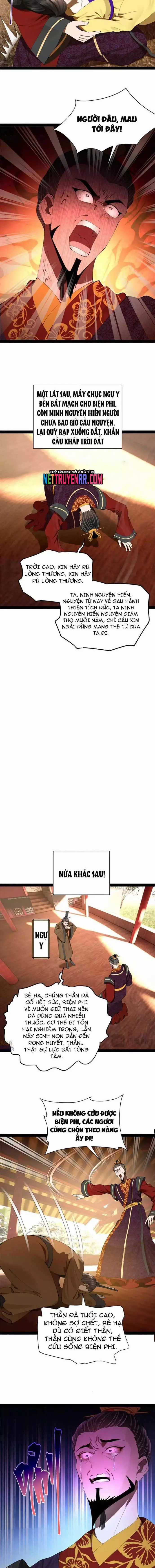 Chàng Rể Mạnh Nhất Lịch Sử - Chapter 317 - Trang 8