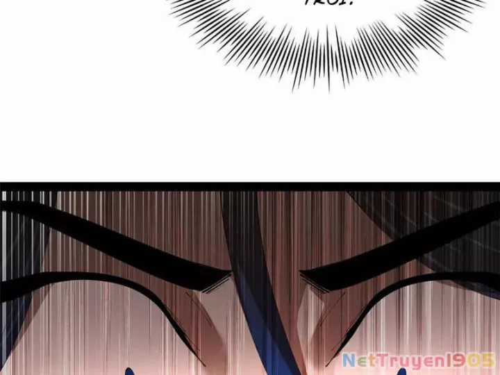 Chàng Rể Mạnh Nhất Lịch Sử - Chapter 318 - Trang 114