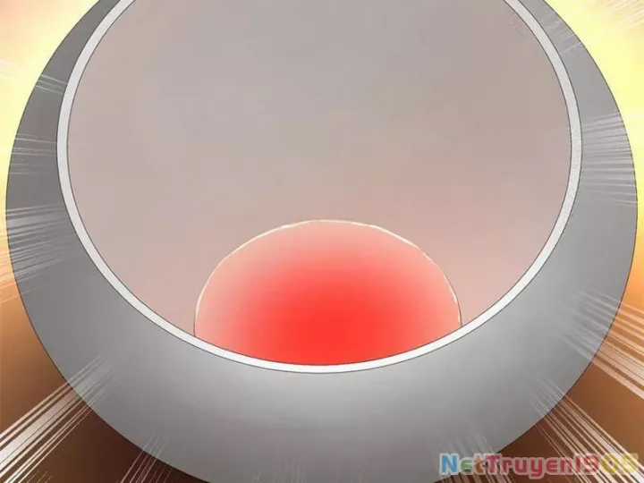 Chàng Rể Mạnh Nhất Lịch Sử - Chapter 318 - Trang 117