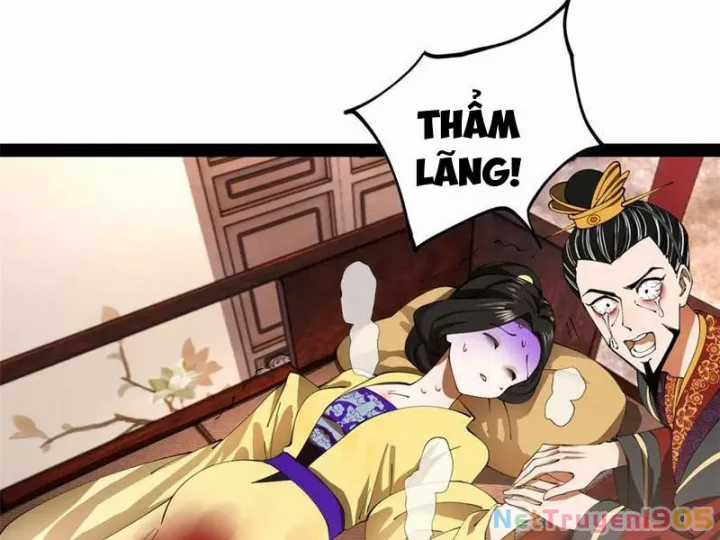 Chàng Rể Mạnh Nhất Lịch Sử - Chapter 318 - Trang 4