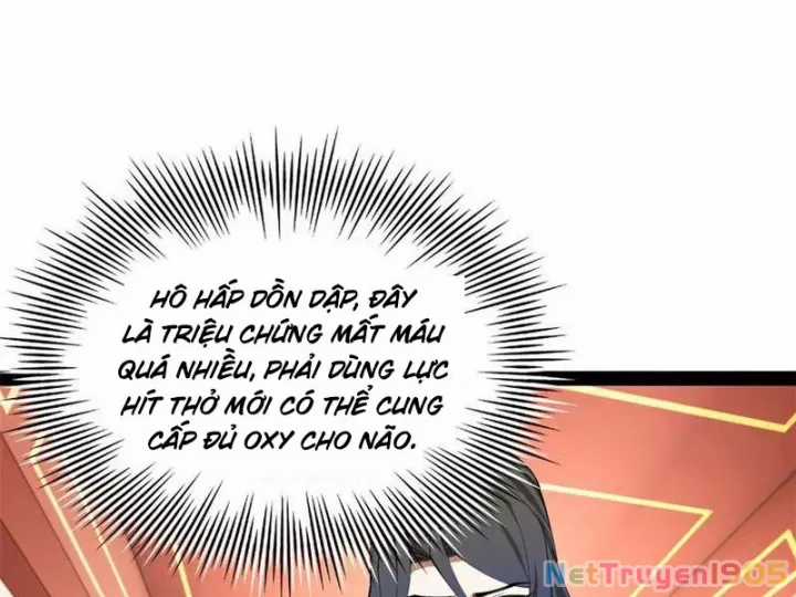 Chàng Rể Mạnh Nhất Lịch Sử - Chapter 318 - Trang 6