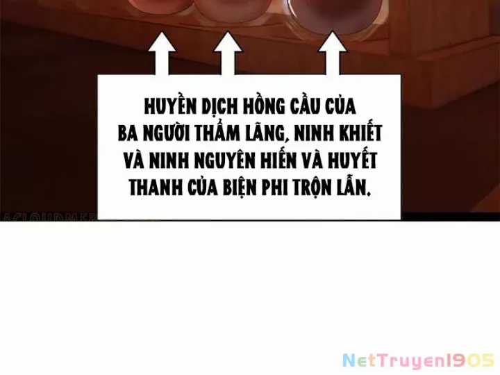 Chàng Rể Mạnh Nhất Lịch Sử - Chapter 318 - Trang 53