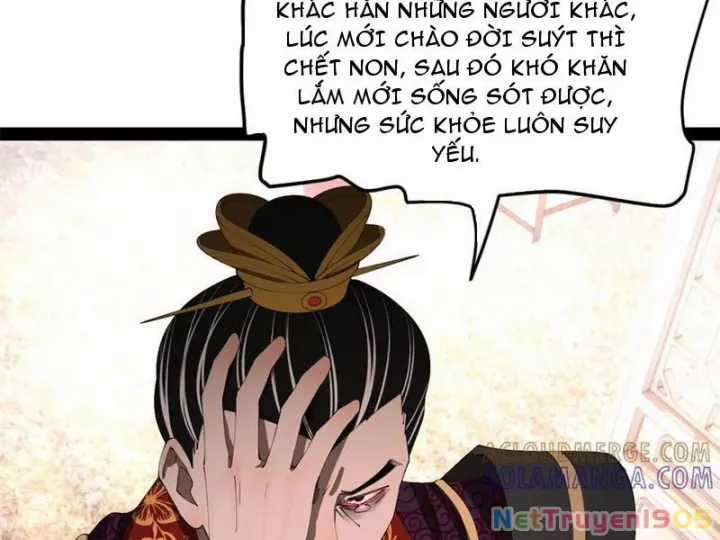 Chàng Rể Mạnh Nhất Lịch Sử - Chapter 318 - Trang 81