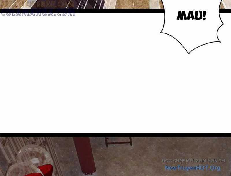 Chàng Rể Mạnh Nhất Lịch Sử - Chapter 319 - Trang 14