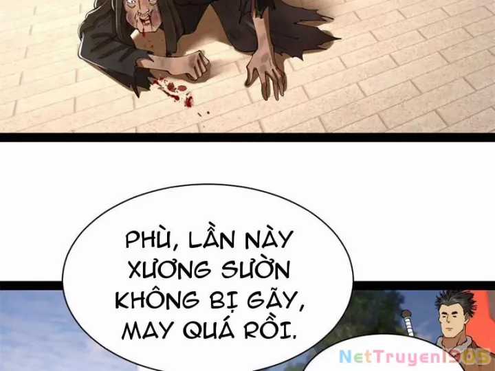 Chàng Rể Mạnh Nhất Lịch Sử - Chapter 322 - Trang 11