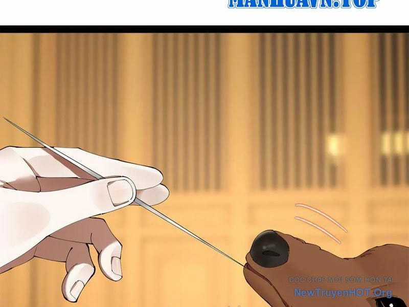 Chàng Rể Mạnh Nhất Lịch Sử - Chapter 325 - Trang 74