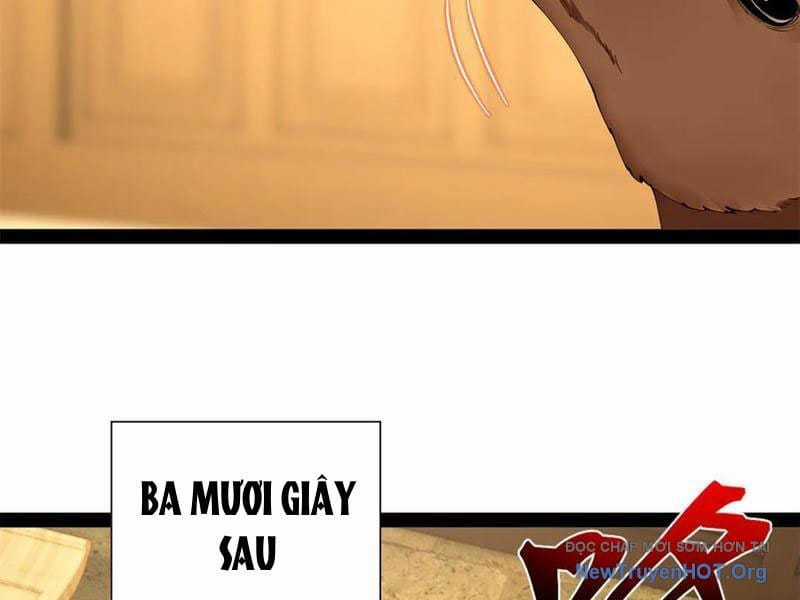 Chàng Rể Mạnh Nhất Lịch Sử - Chapter 325 - Trang 75