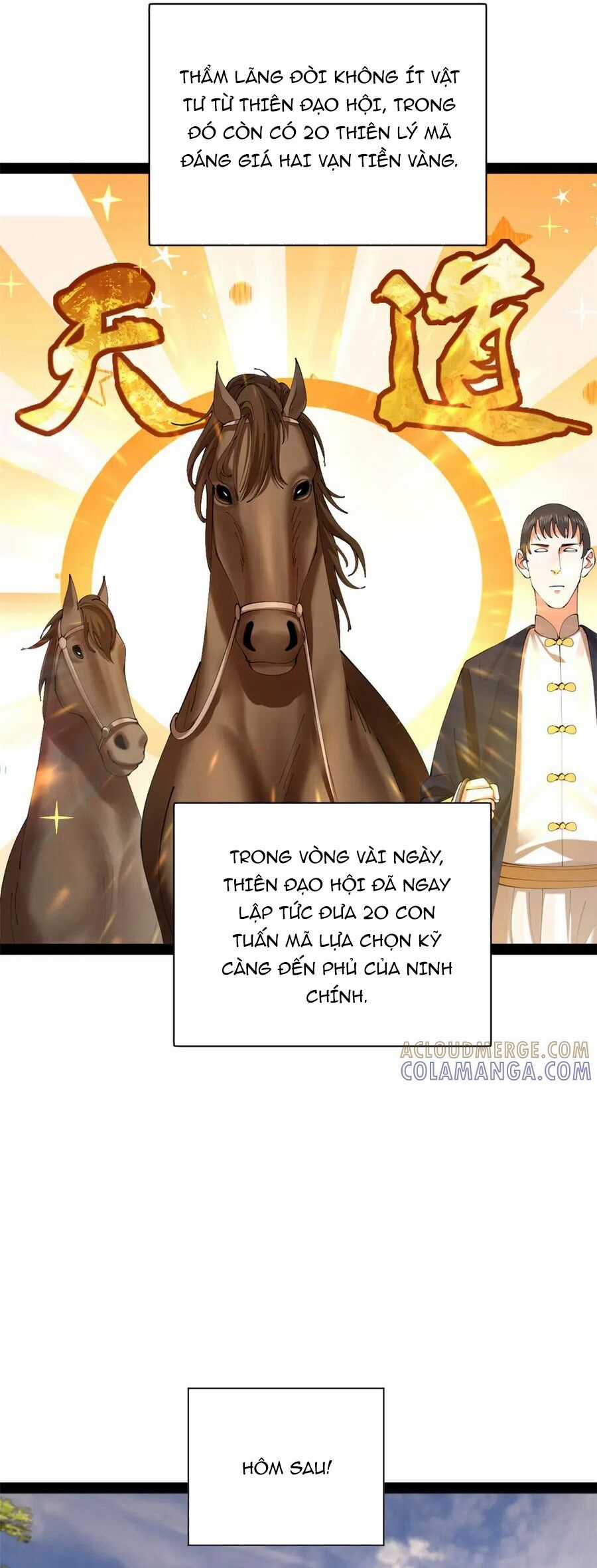 Chàng Rể Mạnh Nhất Lịch Sử - Chapter 328 - Trang 22