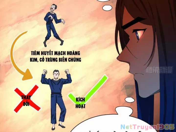 Chàng Rể Mạnh Nhất Lịch Sử - Chapter 339 - Trang 3