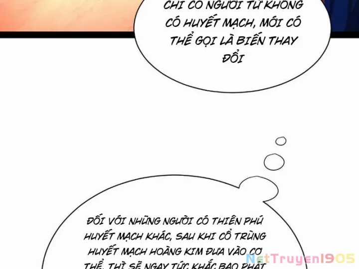 Chàng Rể Mạnh Nhất Lịch Sử - Chapter 339 - Trang 4