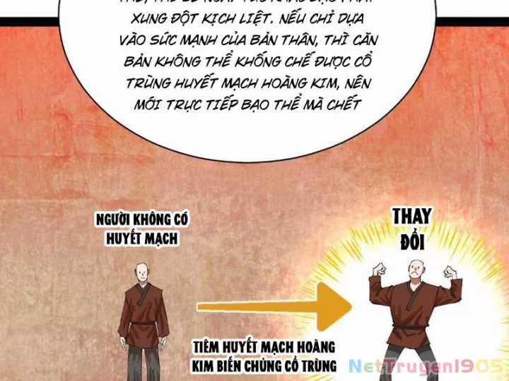 Chàng Rể Mạnh Nhất Lịch Sử - Chapter 339 - Trang 5