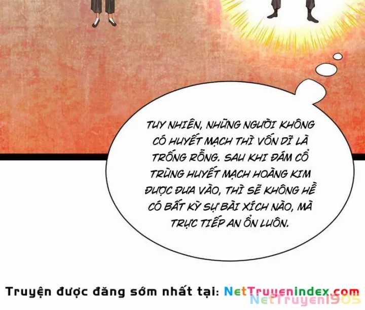 Chàng Rể Mạnh Nhất Lịch Sử - Chapter 339 - Trang 6