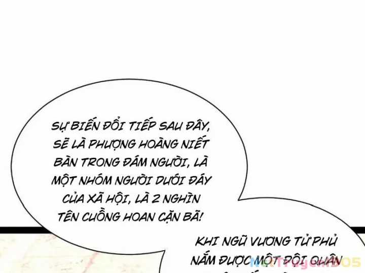 Chàng Rể Mạnh Nhất Lịch Sử - Chapter 339 - Trang 7