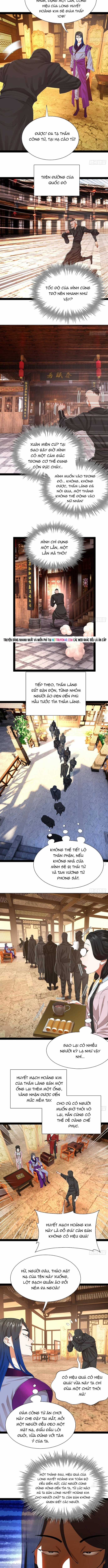 Chàng Rể Mạnh Nhất Lịch Sử - Chapter 370 - Trang 4