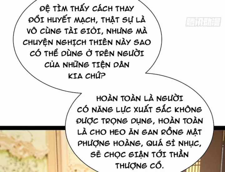 Chàng Rể Mạnh Nhất Lịch Sử - Chapter 381 - Trang 7