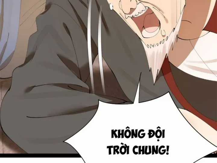 Chàng Rể Mạnh Nhất Lịch Sử - Chapter 385 - Trang 13