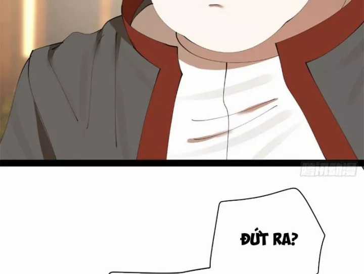 Chàng Rể Mạnh Nhất Lịch Sử - Chapter 385 - Trang 60