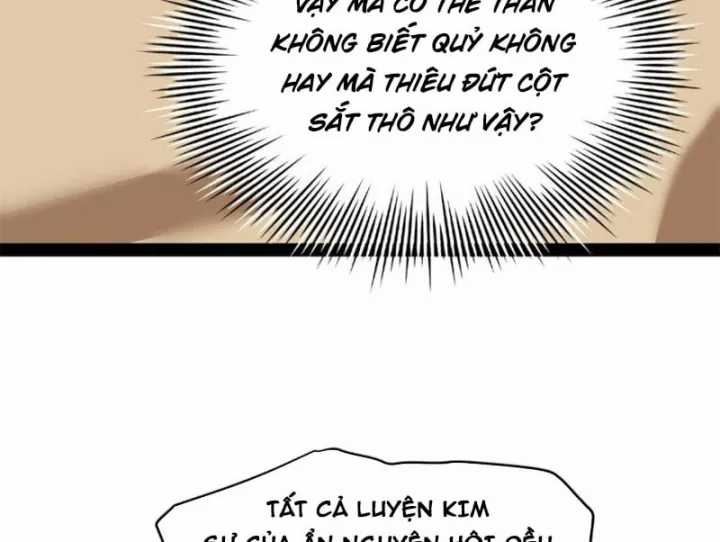 Chàng Rể Mạnh Nhất Lịch Sử - Chapter 385 - Trang 66