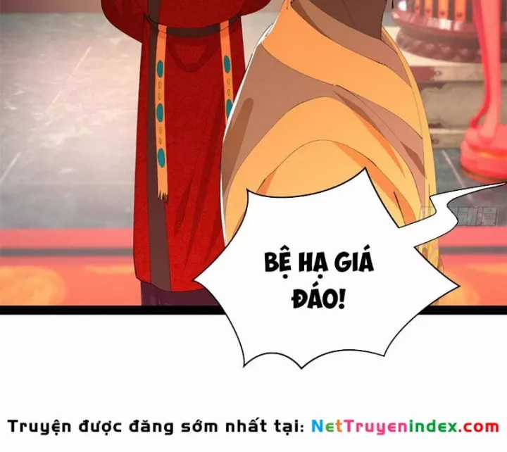 Chàng Rể Mạnh Nhất Lịch Sử - Chapter 388 - Trang 13