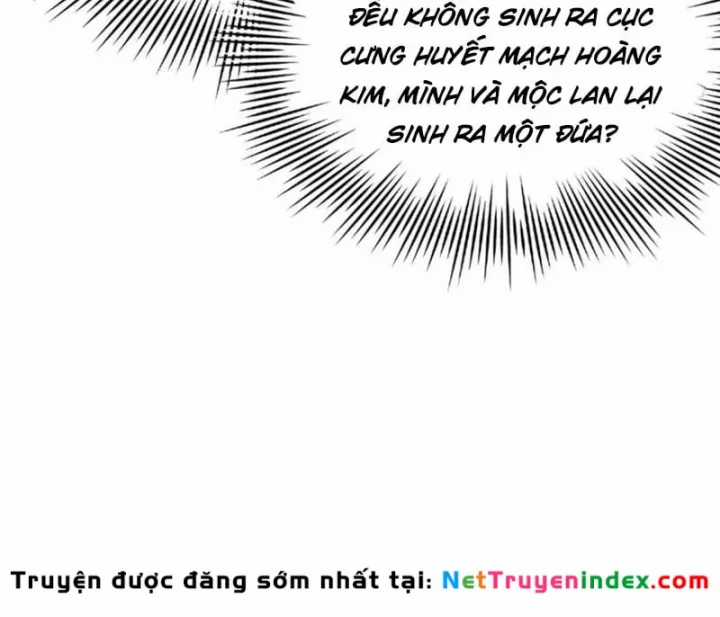 Chàng Rể Mạnh Nhất Lịch Sử - Chapter 394 - Trang 7