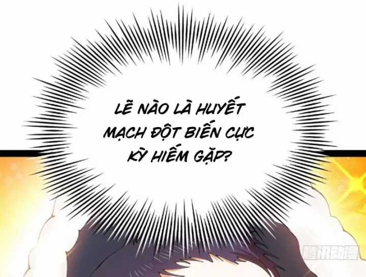 Chàng Rể Mạnh Nhất Lịch Sử - Chapter 394 - Trang 8