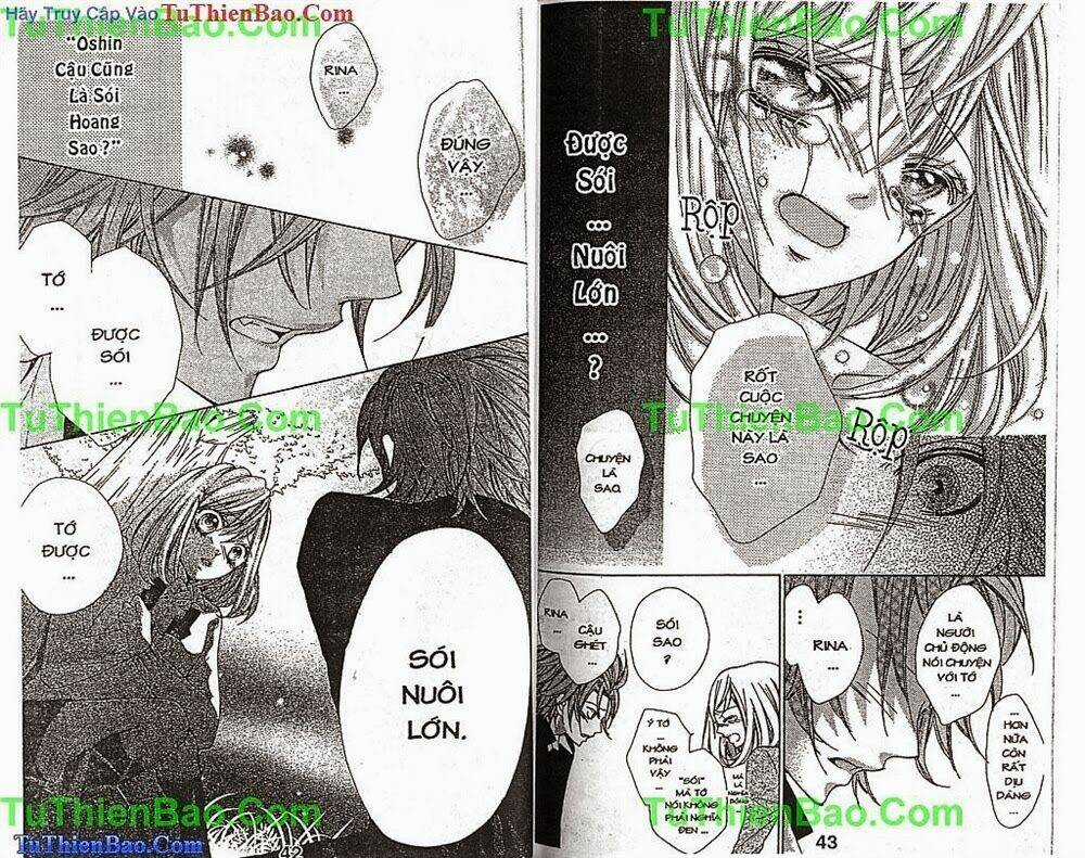 Chàng Sói Dễ Thương - Chapter 1 - Trang 22