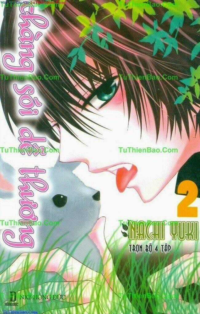 Chàng Sói Dễ Thương - Chapter 2 - Trang 1