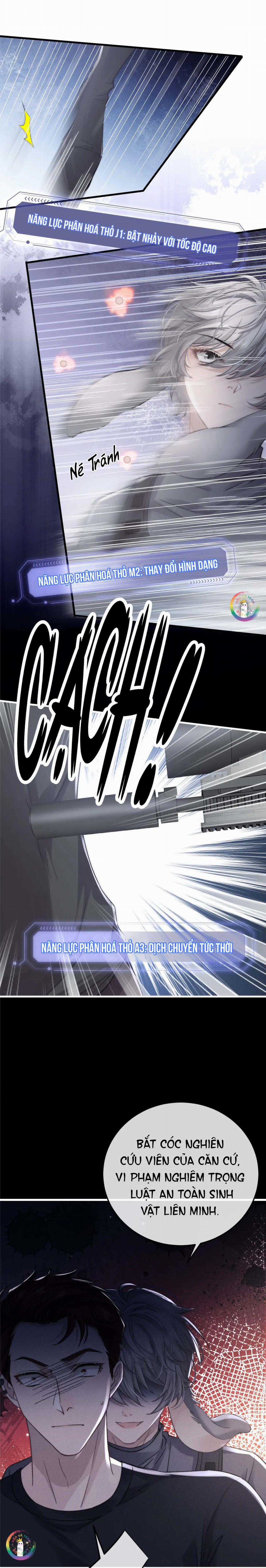 Chấp Sự Thỏ Tai Cụp - Chapter 10 - Trang 3