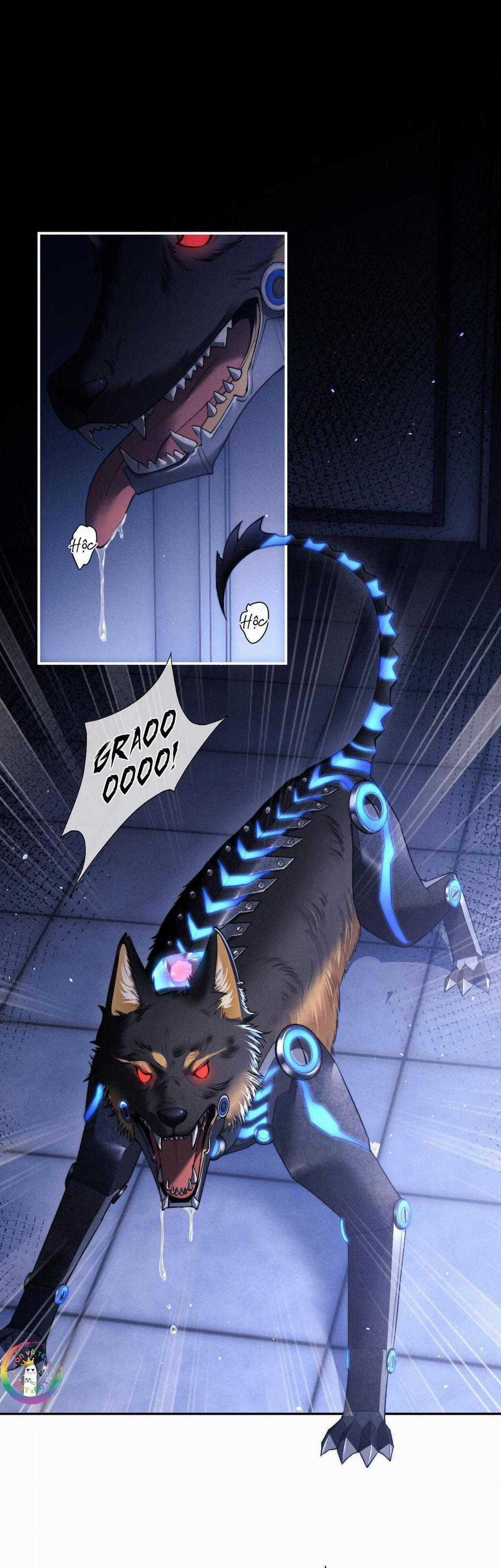 Chấp Sự Thỏ Tai Cụp - Chapter 100 - Trang 2